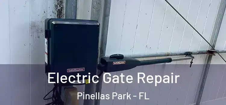 Electric Gate Repair Pinellas Park - FL