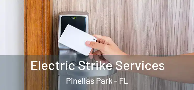  Electric Strike Services Pinellas Park - FL