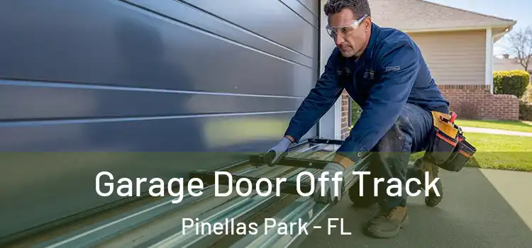  Garage Door Off Track Pinellas Park - FL
