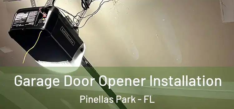  Garage Door Opener Installation Pinellas Park - FL