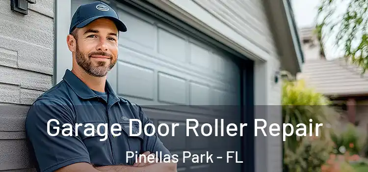  Garage Door Roller Repair Pinellas Park - FL