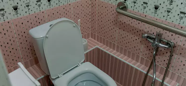 Meeting Diverse Needs With Accessible Restroom Solutions in Pinellas Park, FL