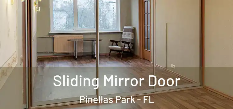  Sliding Mirror Door Pinellas Park - FL
